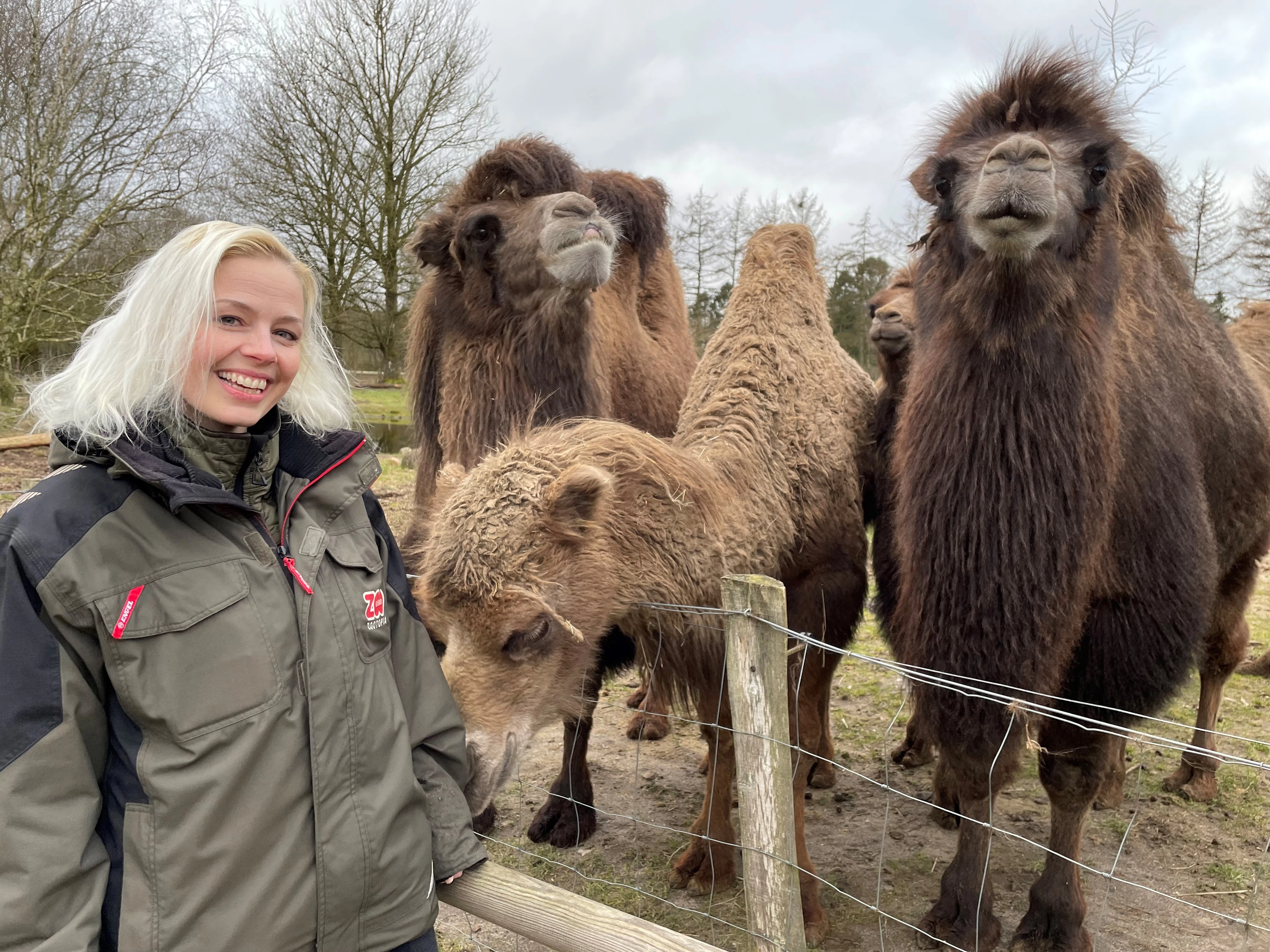 Sophie Sondrup Daugaard med kameler